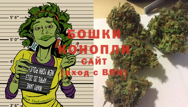 шишки Арсеньев