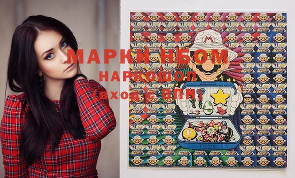 шишки Арсеньев