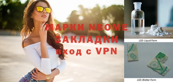 шишки Арсеньев