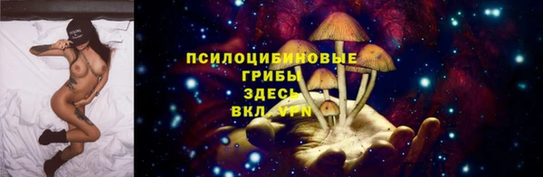 стафф Аркадак