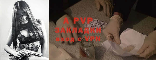шишки Арсеньев