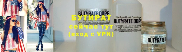 шишки Арсеньев