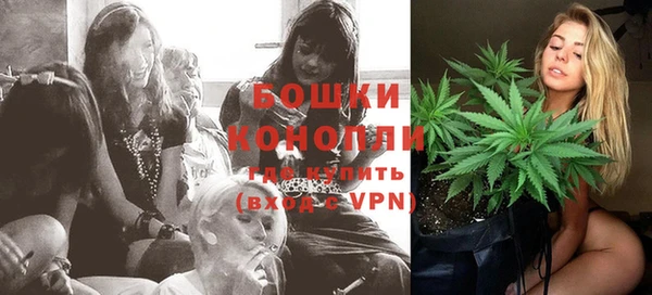 стафф Аркадак