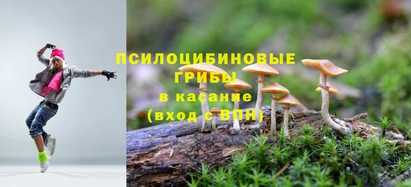 стафф Аркадак