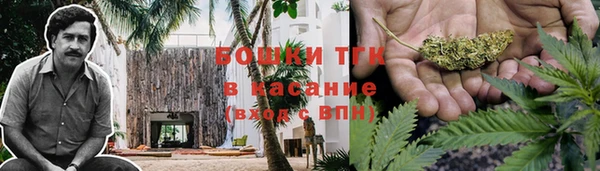 стафф Аркадак