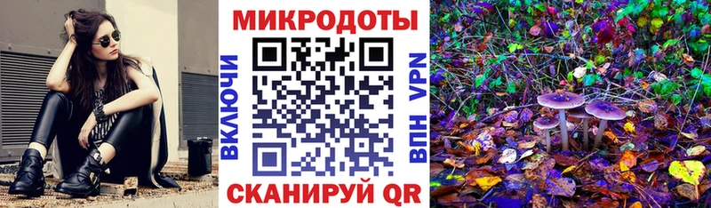 Псилоцибиновые грибы Psilocybine cubensis  Воронеж 